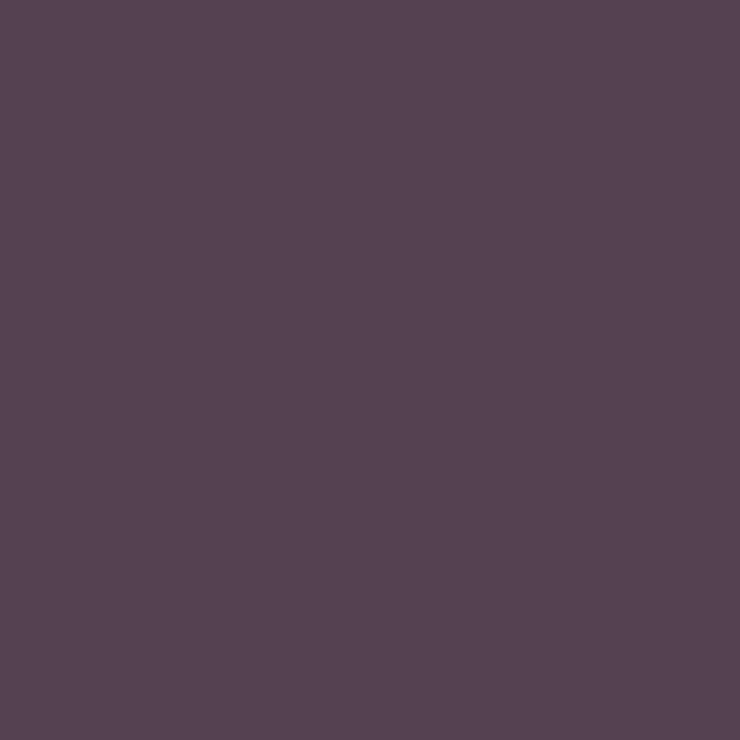 http://RAL%204007