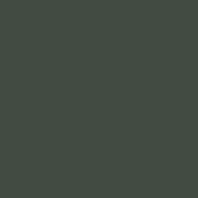 http://RAL%206009