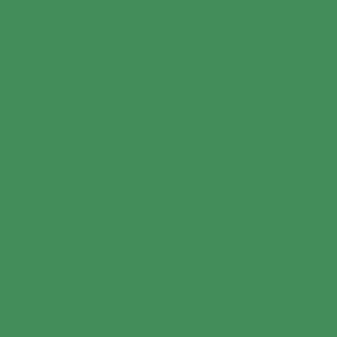 http://RAL%206024