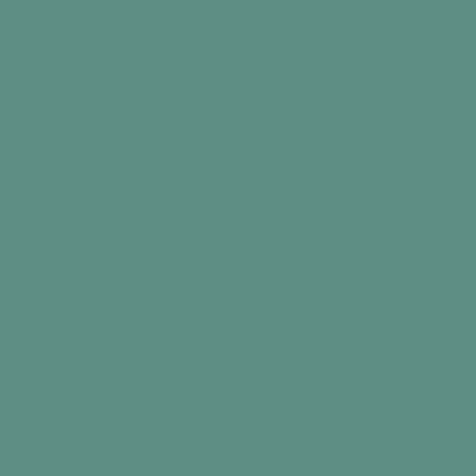http://RAL%206033