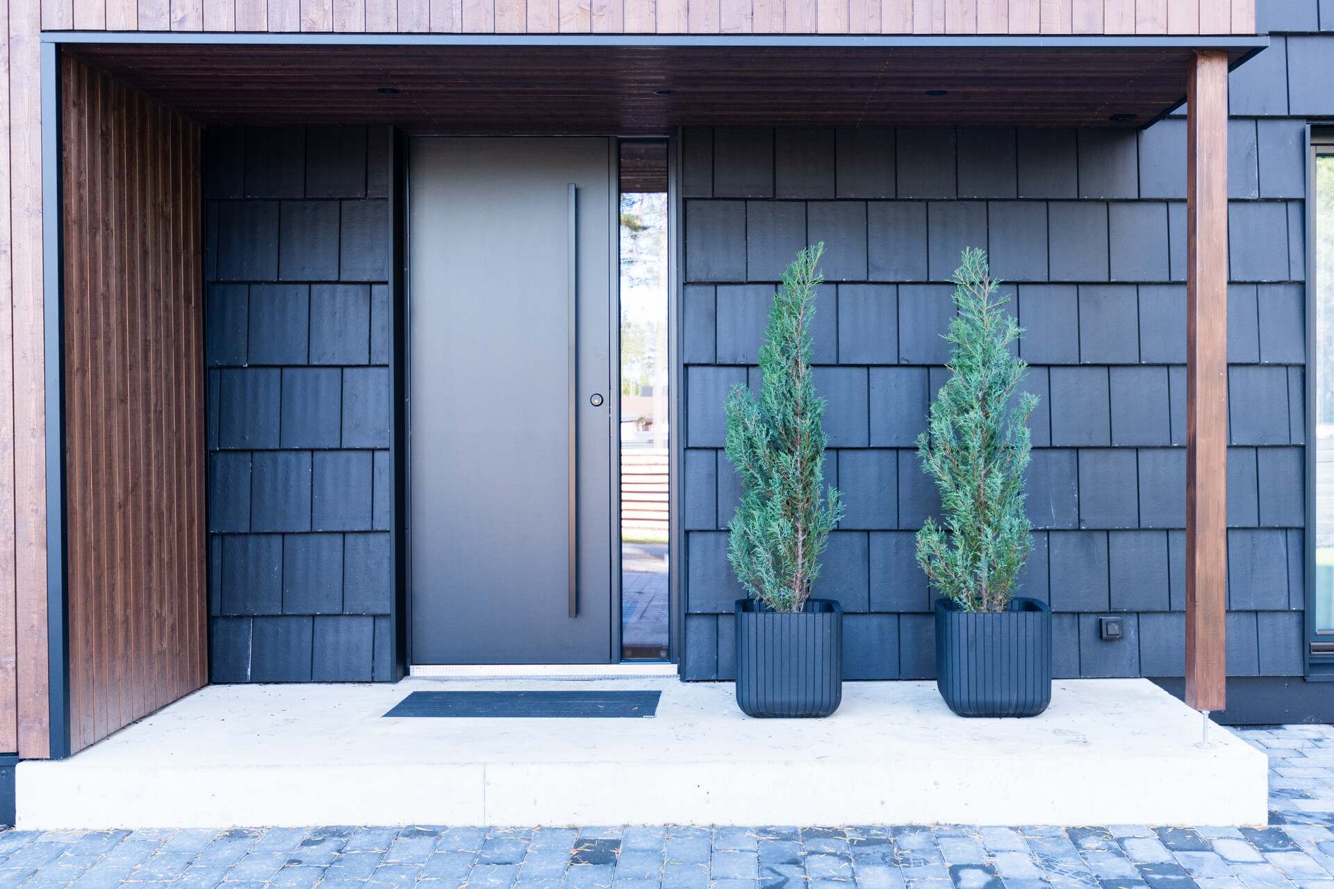 Flush Door as a house exterior door